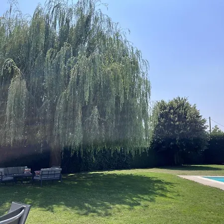 בית נופש Maison Avec Piscine Privee - 8 Pers. - Fr-1-489-649 Saint-Pourçain-sur-Sioule